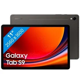 טאבלט סמסונג Galaxy Tab S9 X716 256 GB